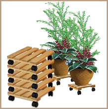 Lade das Bild in den Galerie-Viewer, PFLANZENROLLER | 2 Stück | Massives Buchenholz | ⦰ 30cm | Quadratisch | Bis 120 Kg