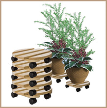 Lade das Bild in den Galerie-Viewer, PFLANZENROLLER | 2 Stück | Massives Buchenholz | ⦰ 30cm | RUND | Bis 120 Kg
